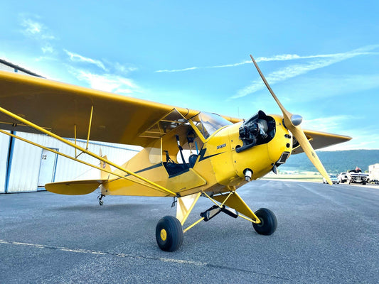 How the Super Cub Inspired Our Unique Print Design