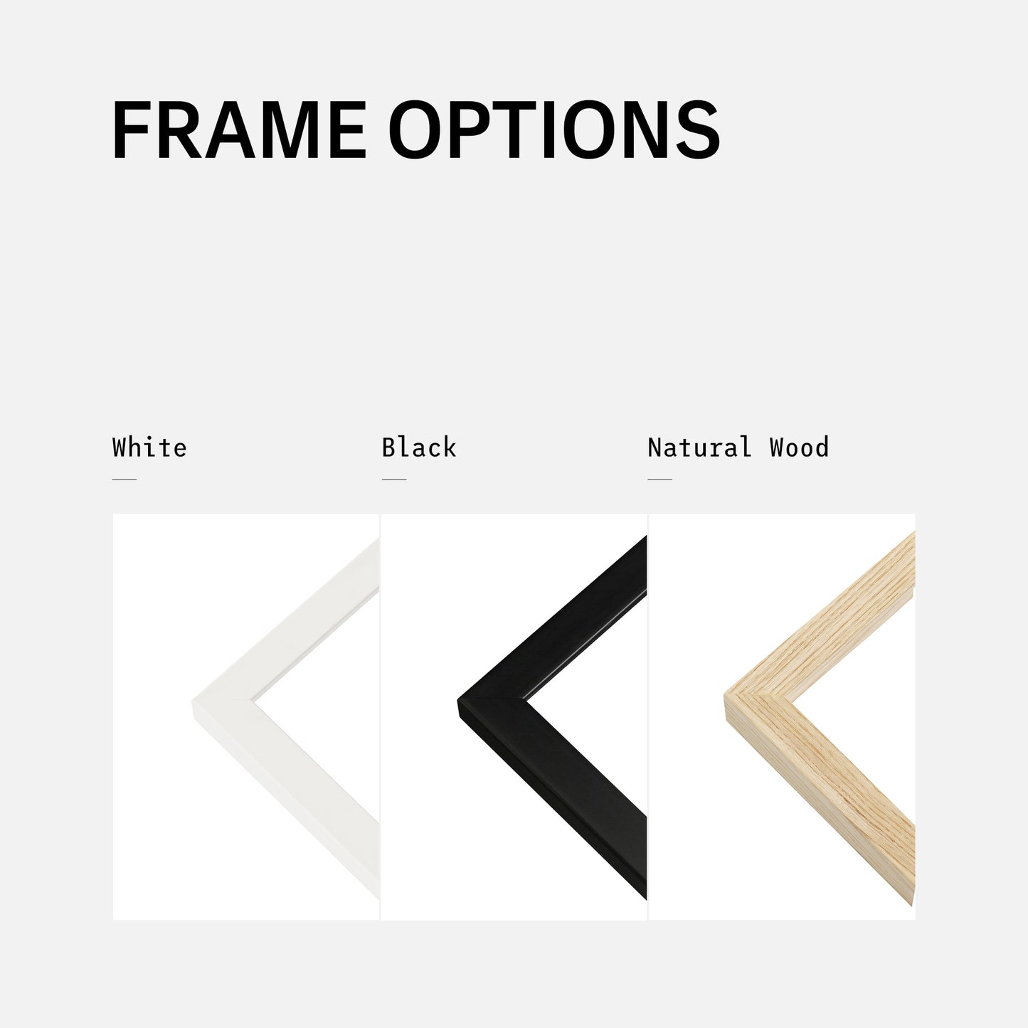 Writing that says Frame Options, with three images each showing a corner of a frame: the first one is white, the second is black and the third is a natural wood colour