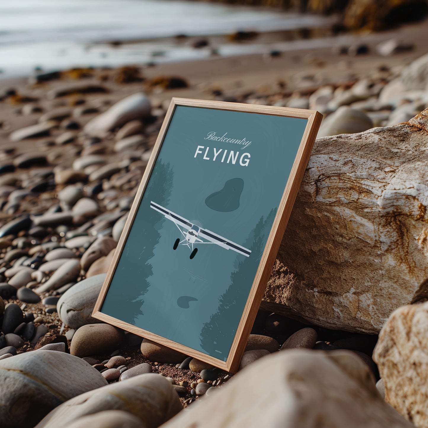 A framed poster leaning against a rock on a shingle beach. It shows a white illustration of a light aircraft with trees around it and a a teal coloured background and the words backcountry flying 