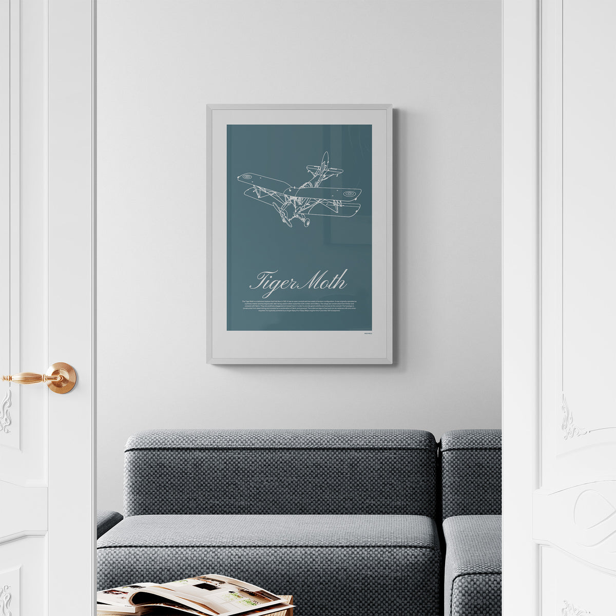 A framed poster seen through a set of open doors hanging over a grey sofa. It shows a light aircraft illustration with the words Tiger Moth in white over a teal background